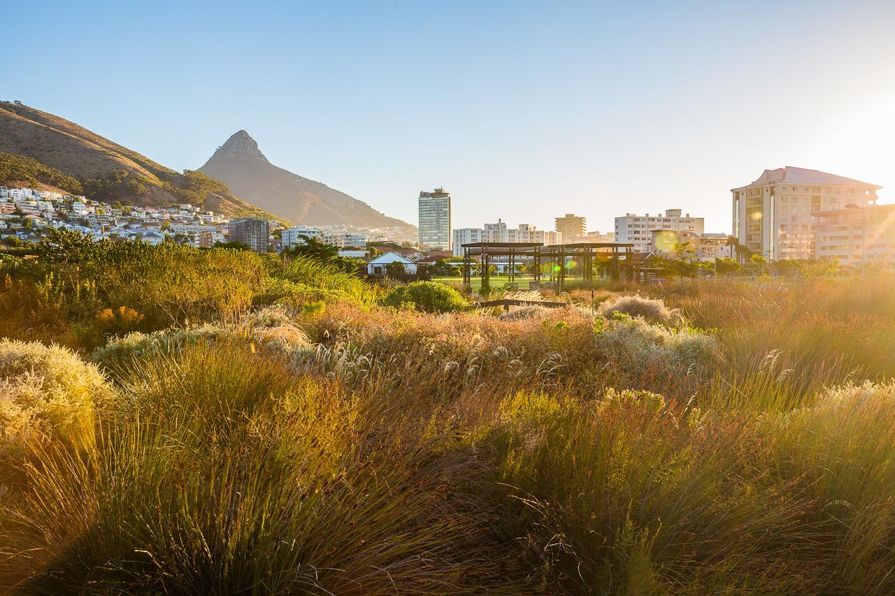 Cape Royale Apartment 810 Cape Town Dış mekan fotoğraf